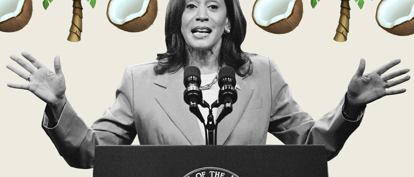 What the Kamala Harris ‘coconut tree’ meme foreshadows about our political future